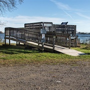 Community Foundation Preserve at Eagle Point