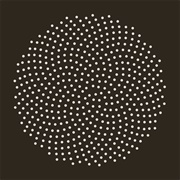 True Botanicals (United States)