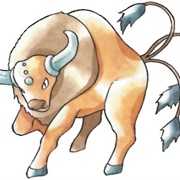 #0128 Tauros