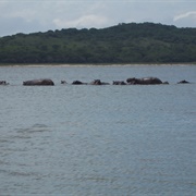 Lake St. Lucia, South Africa