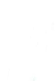 The Red Carpet: Diary of a Journey (1956)