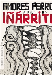 Amores Perros (2000)