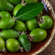 Feijoa (Feijoa Sellowiana)