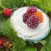 Salmonberry Yogurt