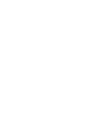 Twenty Questions (2006)