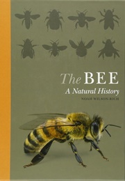 The Bee: A Natural History (Noah Wilson-Rich)