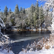 Idyllwild, California