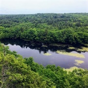 Ross Pond State Park