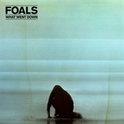 What Went Down (Foals, 2015)