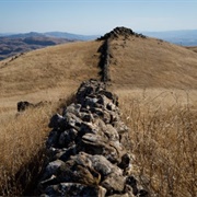 Berkeley Mystery Walls