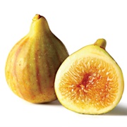 Yellow Fig