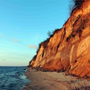 Calvert Cliffs State Park
