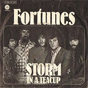 Storm in a Teacup - The Fortunes
