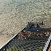 Östre (East) Seaside Resort