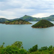 The Dead C - Secret Earth