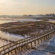 Howard Marsh Metropark
