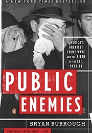 Public Enemies: America's Greatest Crime Wave and the Birth of the Fbi (Bryan Burrough)