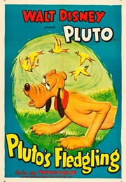 Pluto's Fledgling (1948)