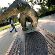 Peter the Anteater Statue