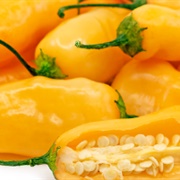 Sugar Rush Peach Pepper