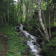 Bradley Woods Reservation