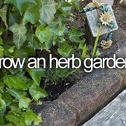 Grow a Herb Garden