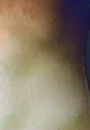 Punch (Skip Arnold) (1992)