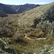 Morongo Valley, California