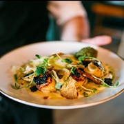 King Alexandre, Sherbrooke