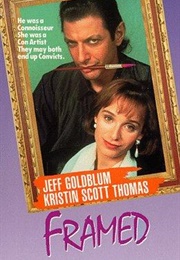 Framed (1990)