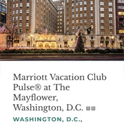 Pulse - Washington D.C.
