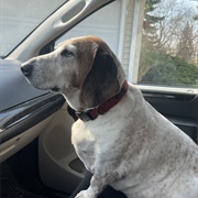 At Least We Get to Ride Shotgun :)