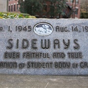 The Sideways Grave of Sideways the Dog