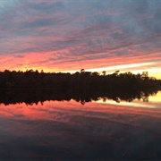 Parvin State Park, NJ