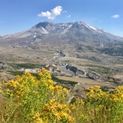 Mount St. Helens Volcanic, WA (USFS)