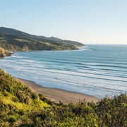 Manu Bay, Near Raglan, North Island
