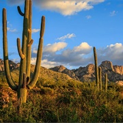 Catalina State Park