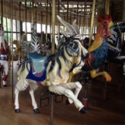 Golden Gate Park Vintage Carousel