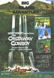 The Castaway Cowboy (1974)