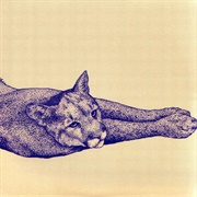 Koen Holtkamp - Field Rituals