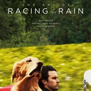 The Art of Racing in the Rain