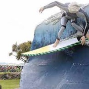 Colac Bay Big Surfer