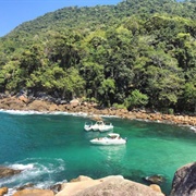 Palm Cove, Ilha Grande, Brazil