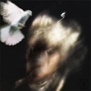 Sickboyrari - City of Crows