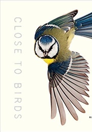 Close to Birds: An Intimate Look at Our Feathered Friends (Mats Ottosson and Asa Ottosson)