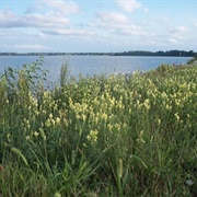 Putnam Marsh Nature Preserve