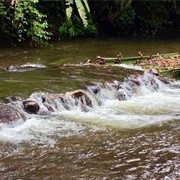 Santo Domingo De Los Colorados, Ecuador