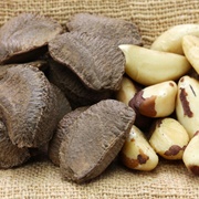 Brazil Nut in Brazil