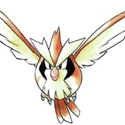 #0016 Pidgey