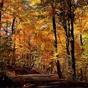 Germantown Metropark